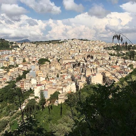 شقة La Domus Di Segesta "Smart Solution" كالاتافيمي المظهر الخارجي الصورة