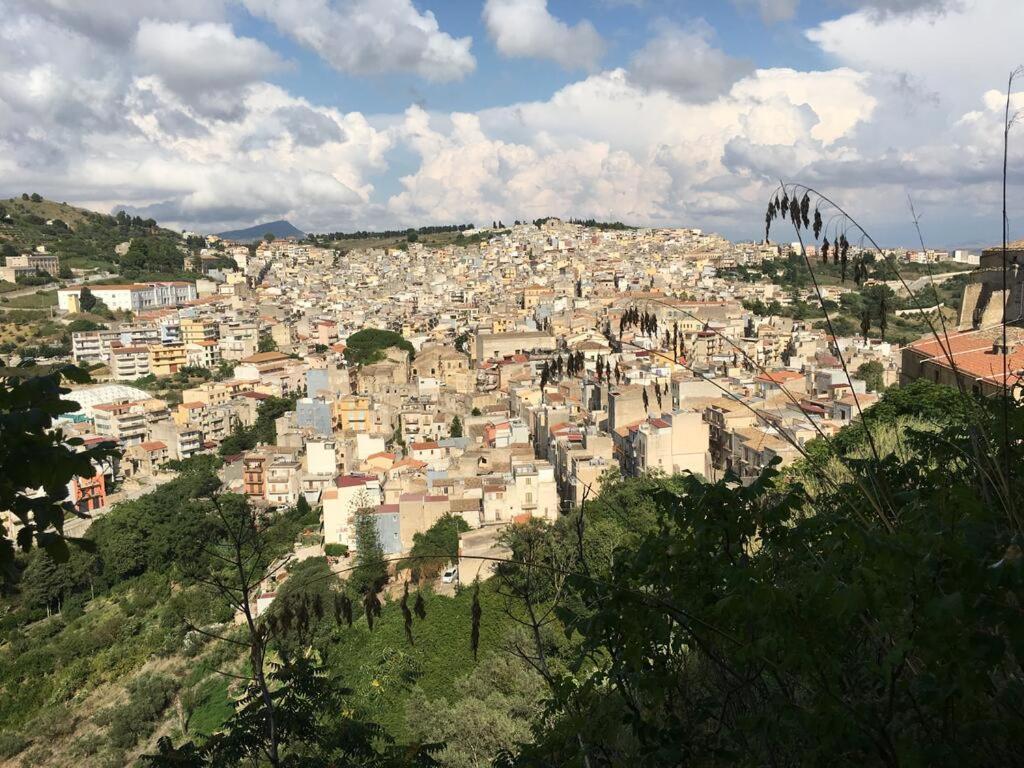 شقة La Domus Di Segesta "Smart Solution" كالاتافيمي المظهر الخارجي الصورة